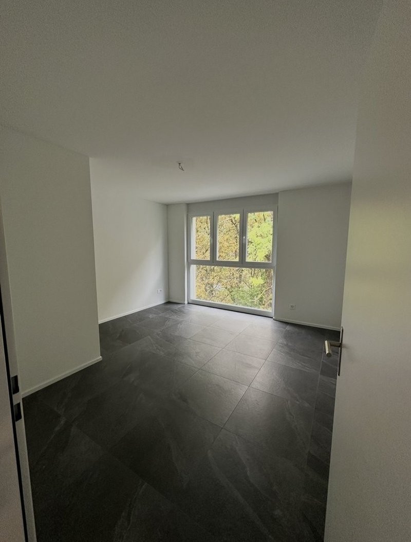 Foto 3 di Nunningerstrasse 5, Grellingen
