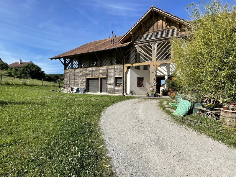 Foto 1 von Faoug