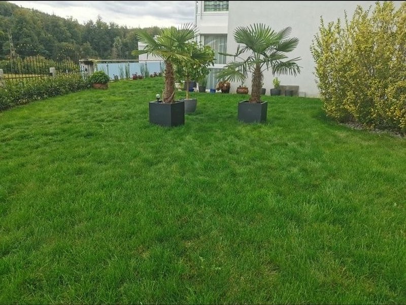 Foto 2 di Herrenschwanden