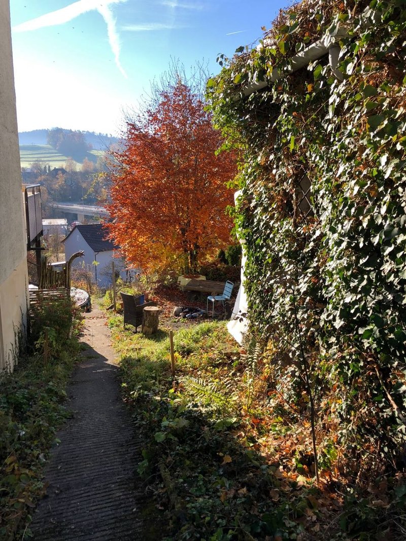 Foto 4 di Elsau