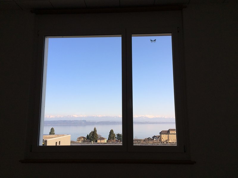 Foto 2 di Neuchatel