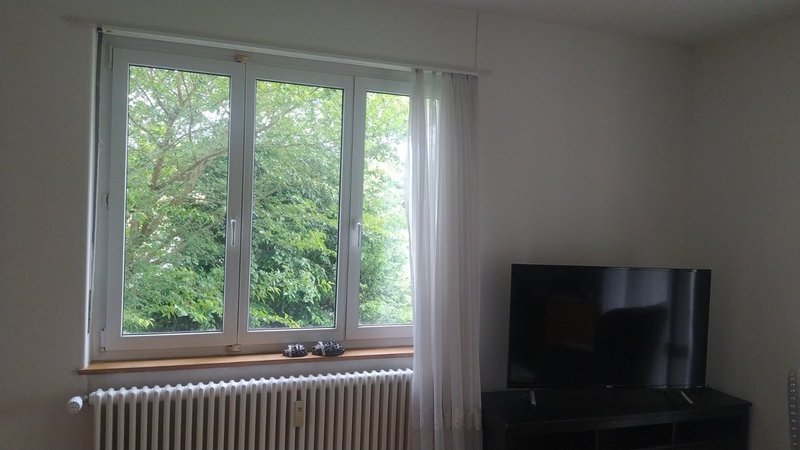 Foto 4 von Bottmingen