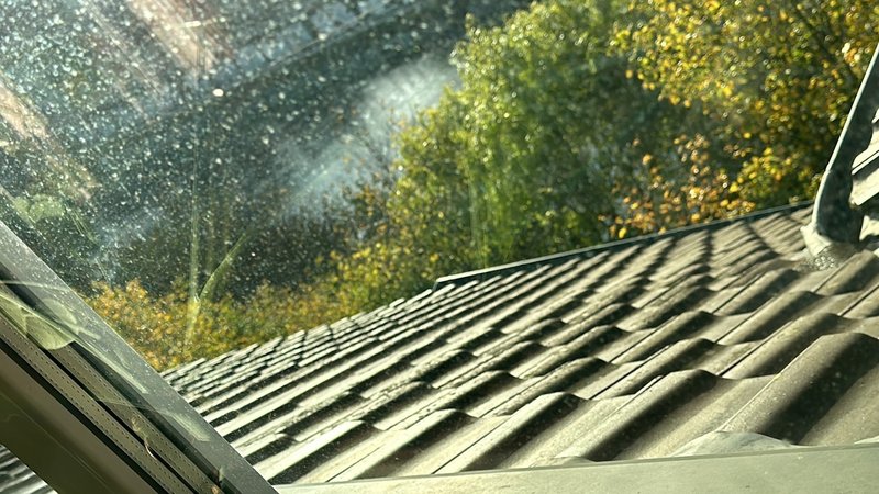 Foto 2 di Bern
