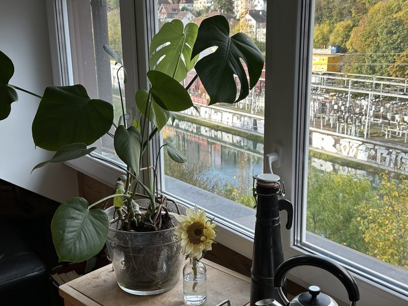 Foto 8 di Bern