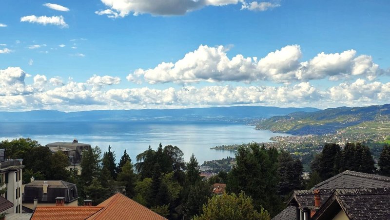 Foto 2 di Ruelle Glion-Naye 5, Glion