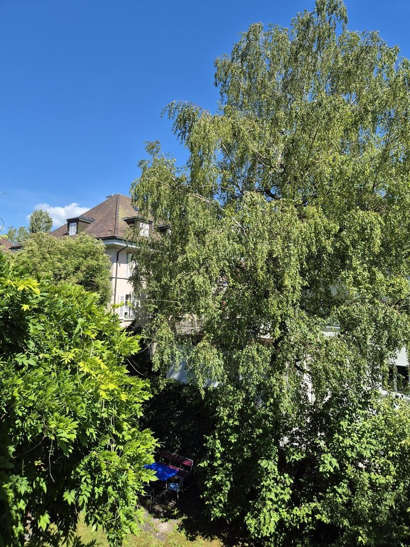 Foto 6 di Wernerstrasse, Bern