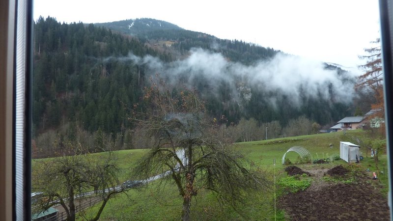 Photo 2 de Danis
