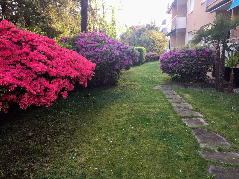 Photo 4 of Via Rinaldo Simen 12, Minusio