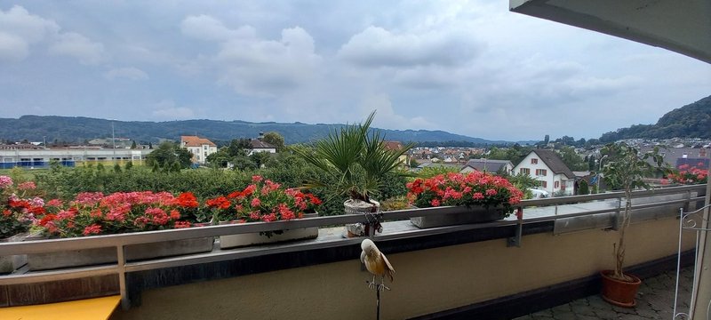 Foto 1 von Würenlos