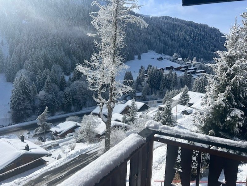 Foto 6 von Rte des Buttes, Morgins
