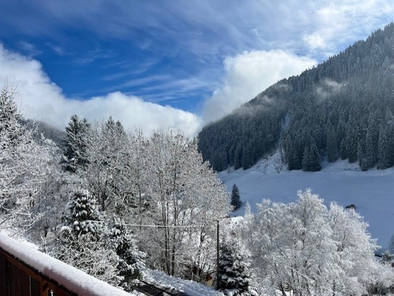Foto 7 von Rte des Buttes, Morgins