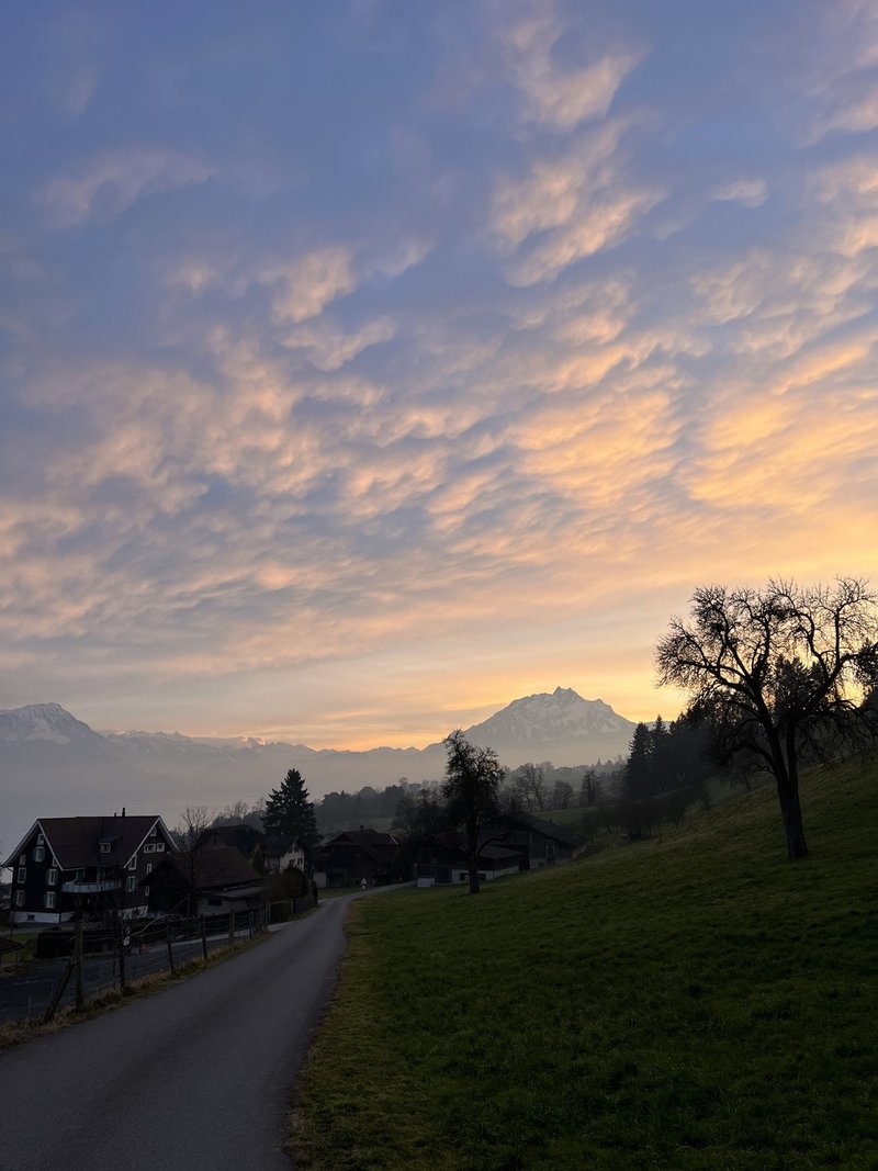 Photo 4 de Gütschweg 6, Merlischachen