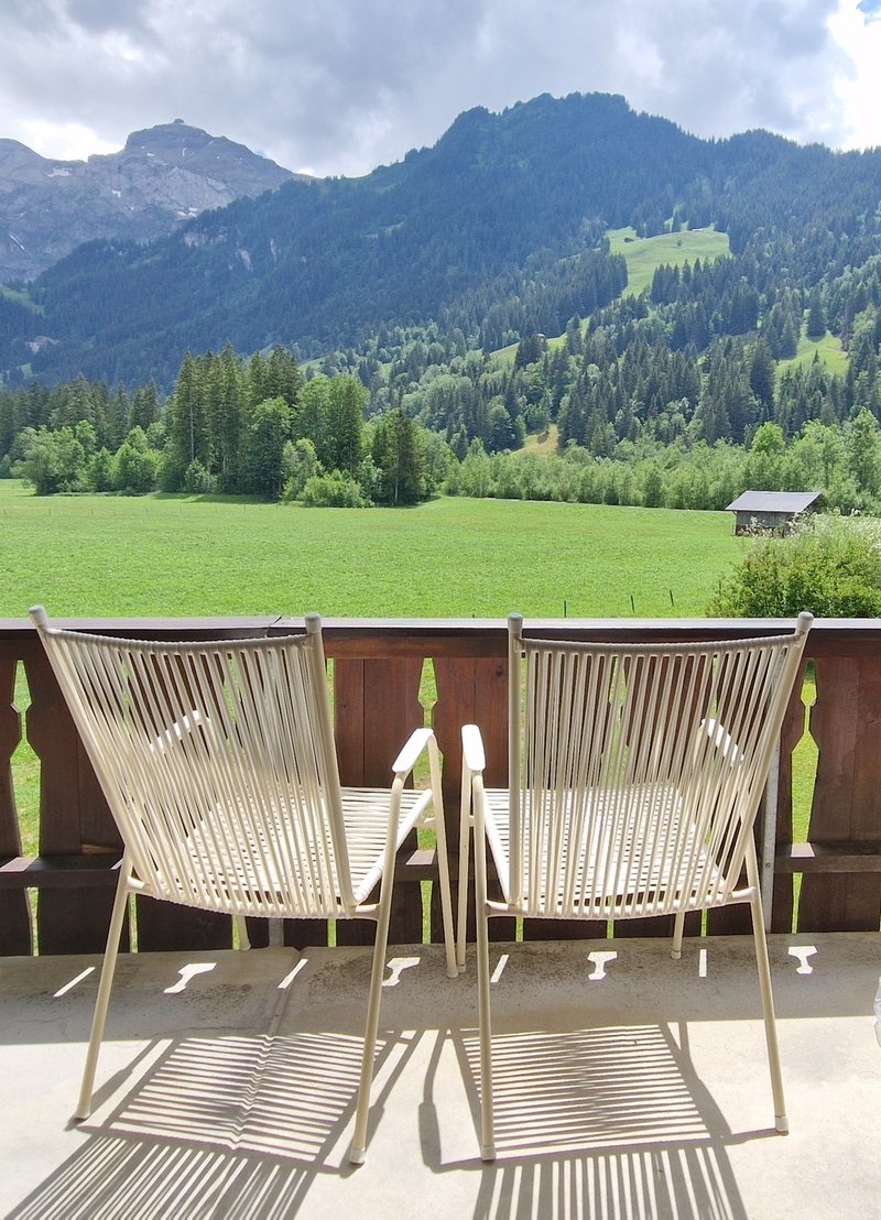 Photo 3 of Lenk