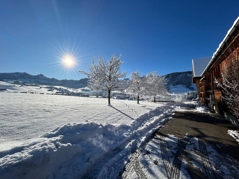 Foto 7 von Fleckenmoos 2, Appenzell-Steinegg