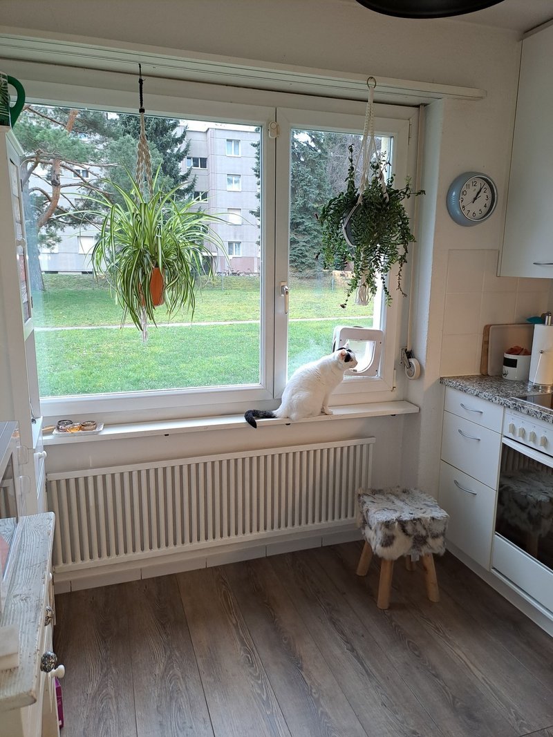 Foto 4 von Niederhasli