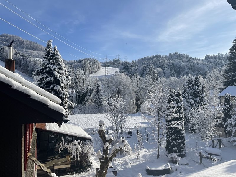 Foto 4 von Wald/Jonatal