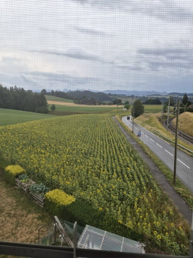 Foto 2 von Mittelhäusern (BE) -