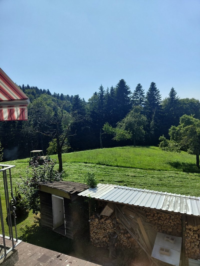Photo 5 of Troeleten, Schongau