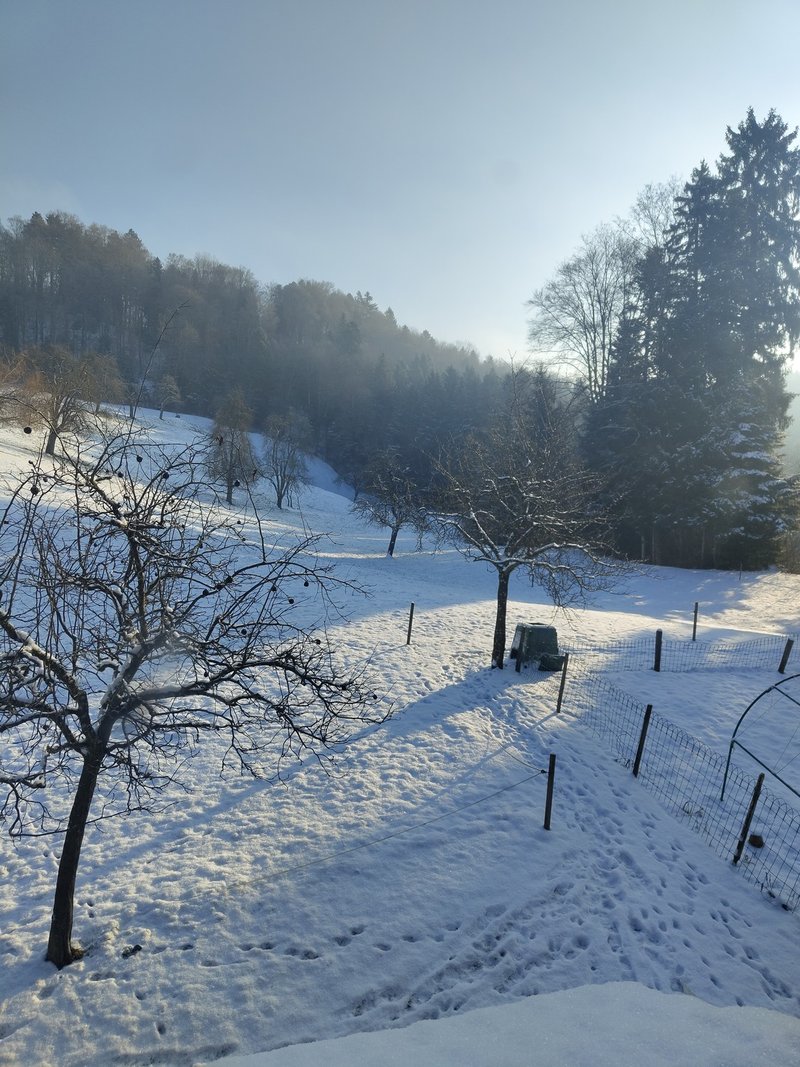 Photo 8 of Troeleten, Schongau