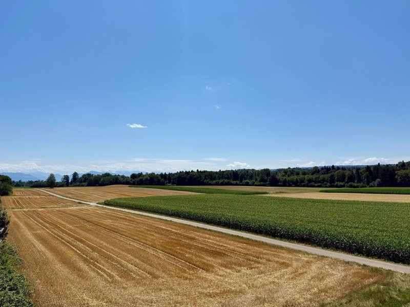 Foto 1 di Zufikon