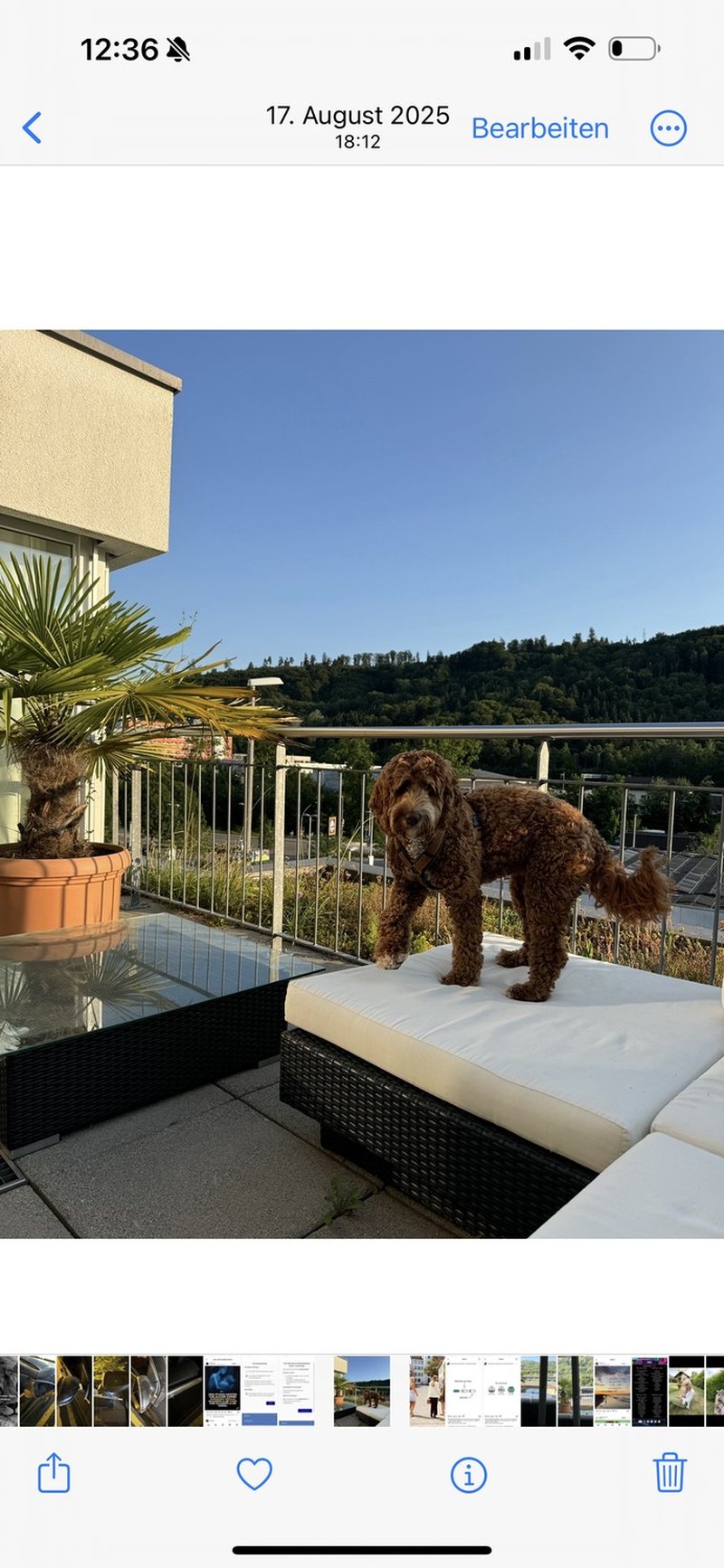Photo 4 of winterthur