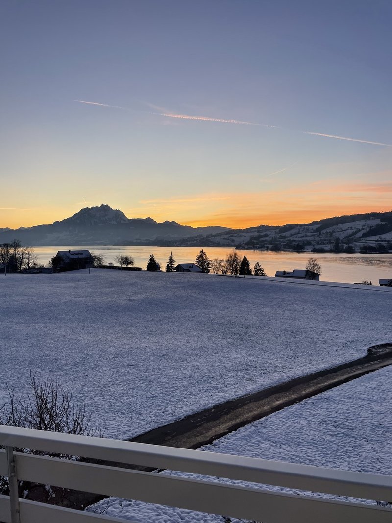 Foto 8 von Seeheimweg 2, Küssnacht am Rigi