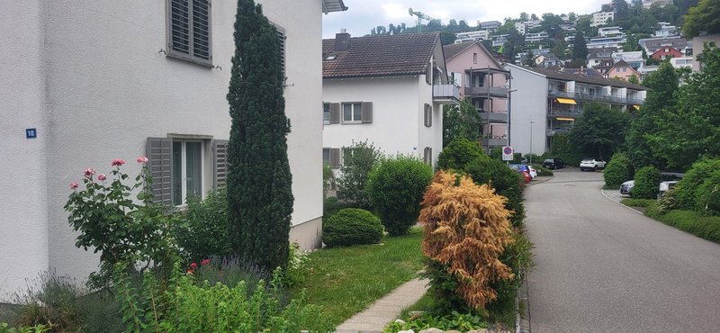 Photo 4 de Zug