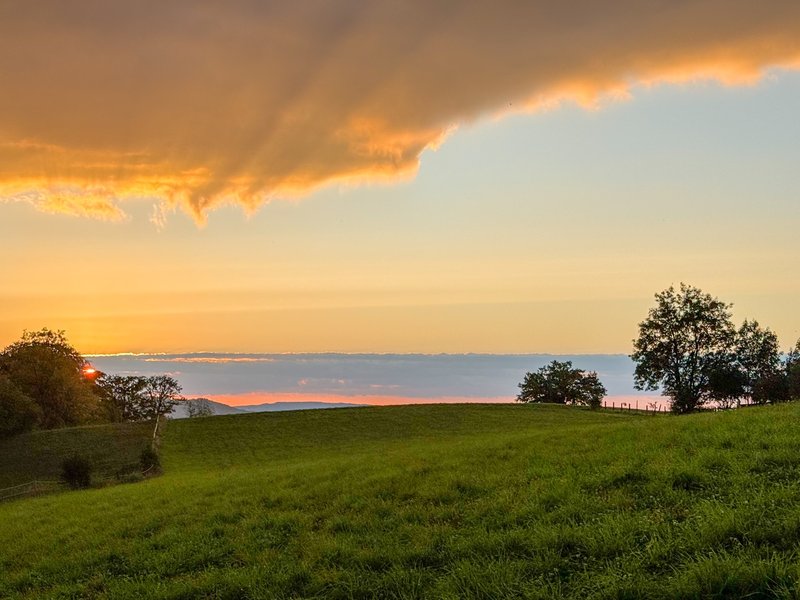 Foto 4 von Zollikerberg