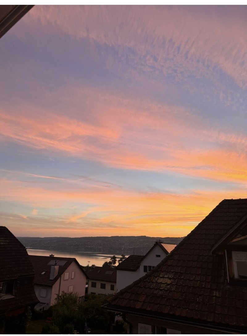 Photo 7 of Horgen