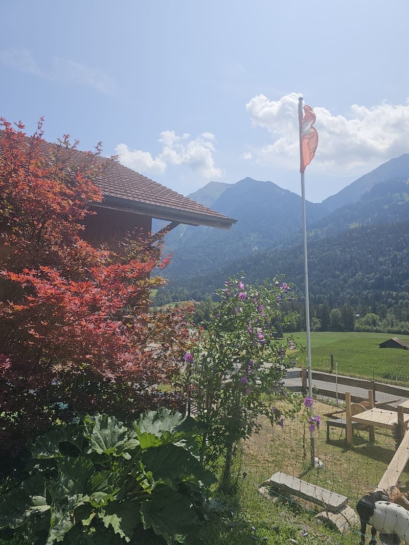 Photo 6 de Simmentalstrasse , 599, Latterbach