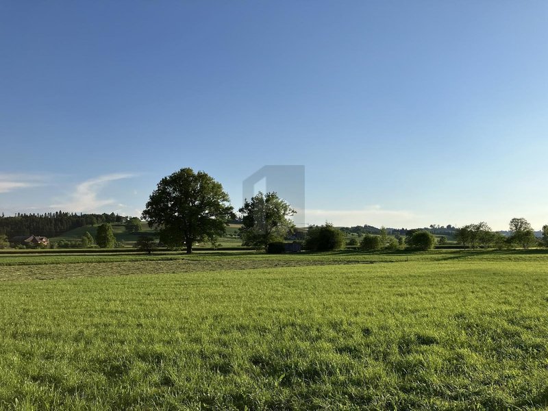 Photo 3 of Auf Anfrage, Buttisholz