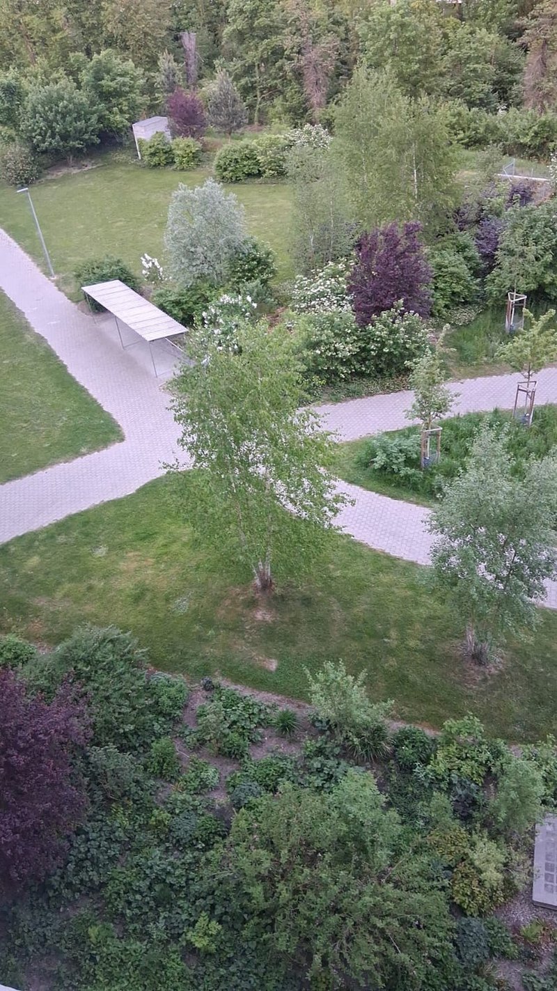 Foto 2 di Aarau