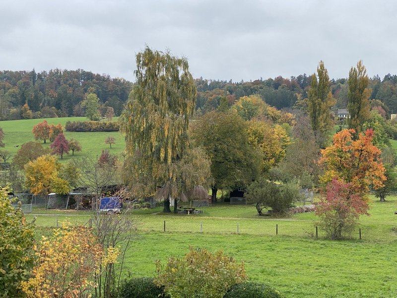 Foto 8 von Neuhofstrasse, Männedorf