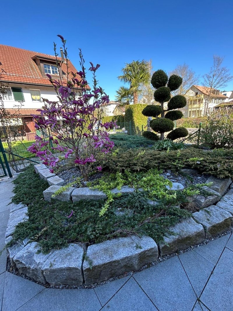 Foto 3 von Vorstadstrasse, Dietikon