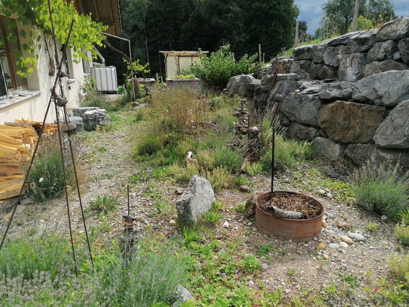 Foto 3 von Taa 677, Ganterschwil