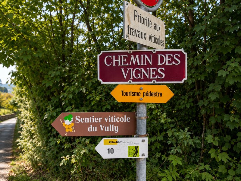 Foto 6 di Chemin des Vignes 18b, Bellerive