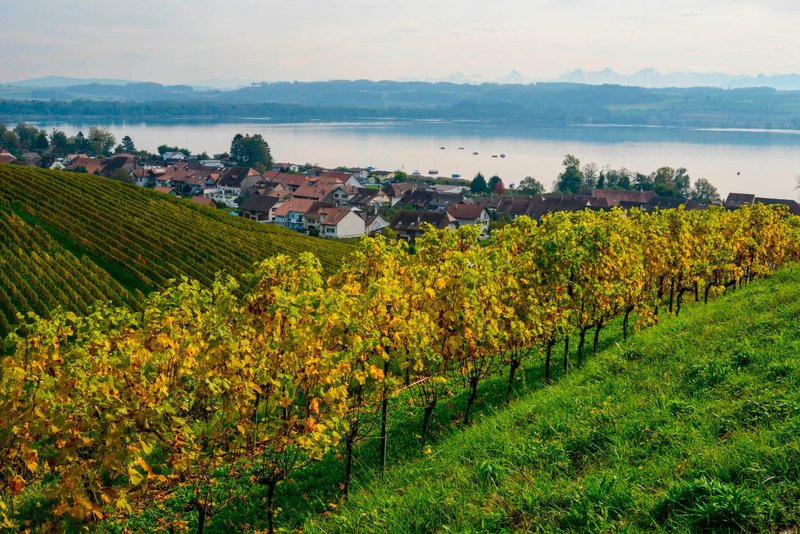 Foto 8 di Chemin des Vignes 18b, Bellerive