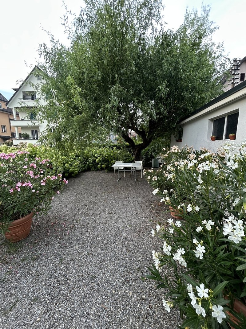 Foto 2 di Tödistrasse 7, Kriens