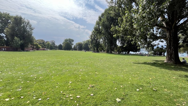 Foto 5 di Zurich