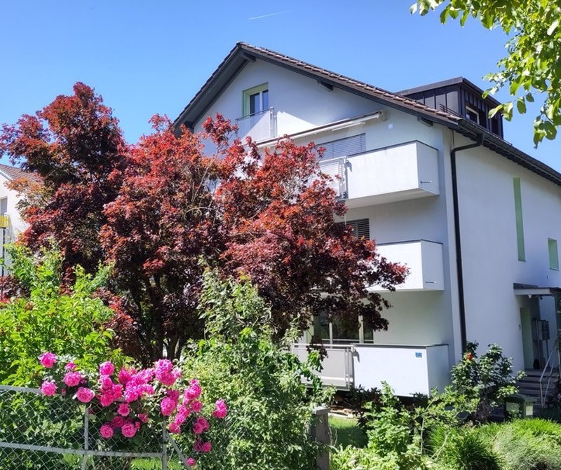 Foto 7 von Fribourg