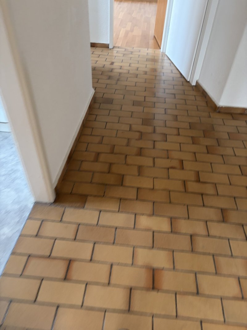 Photo 3 de Bachmattstrasse 48, Zürich