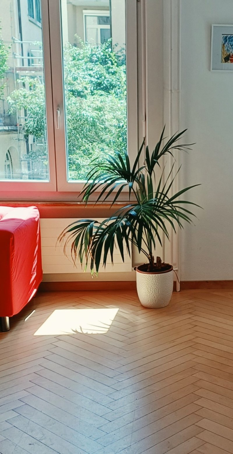 Foto 1 von Sickingerstrasse 3, Bern
