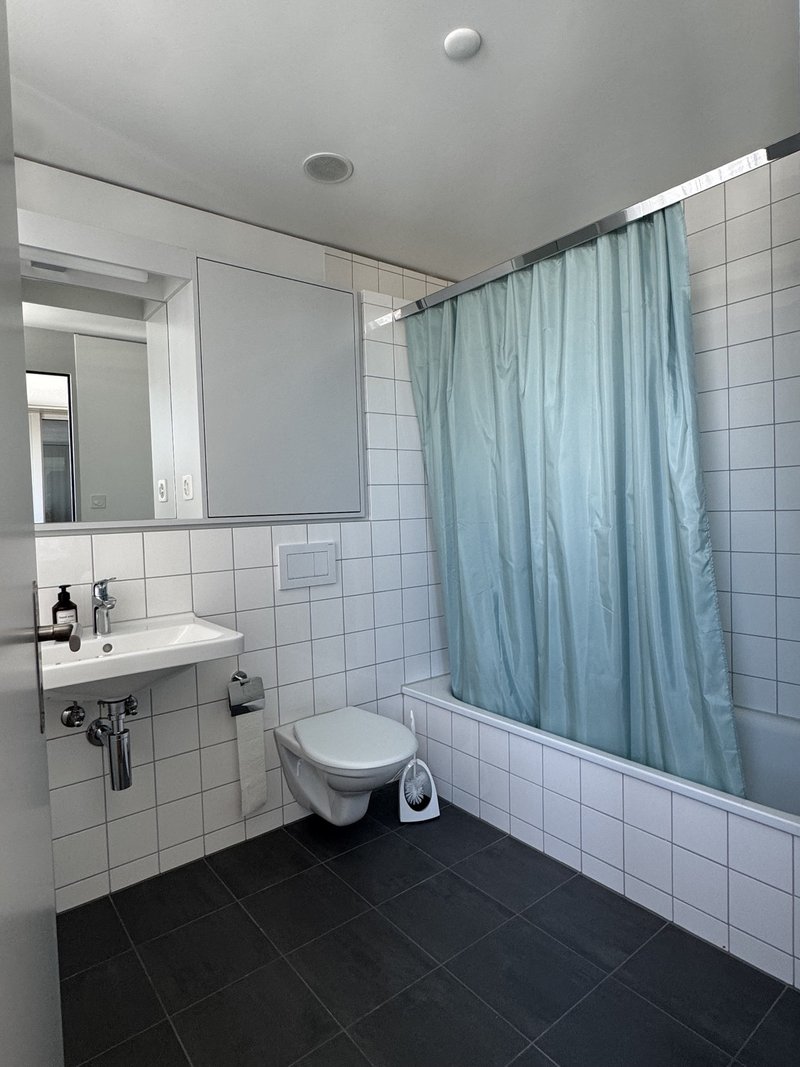 Foto 4 di Hohlstrasse 440a, Zürich