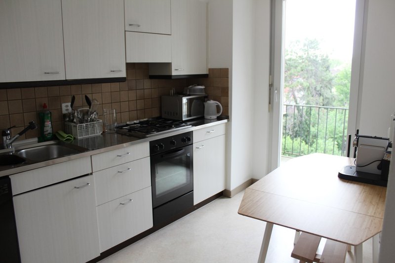 Photo 3 of Grenzacherstrasse 223, Basel