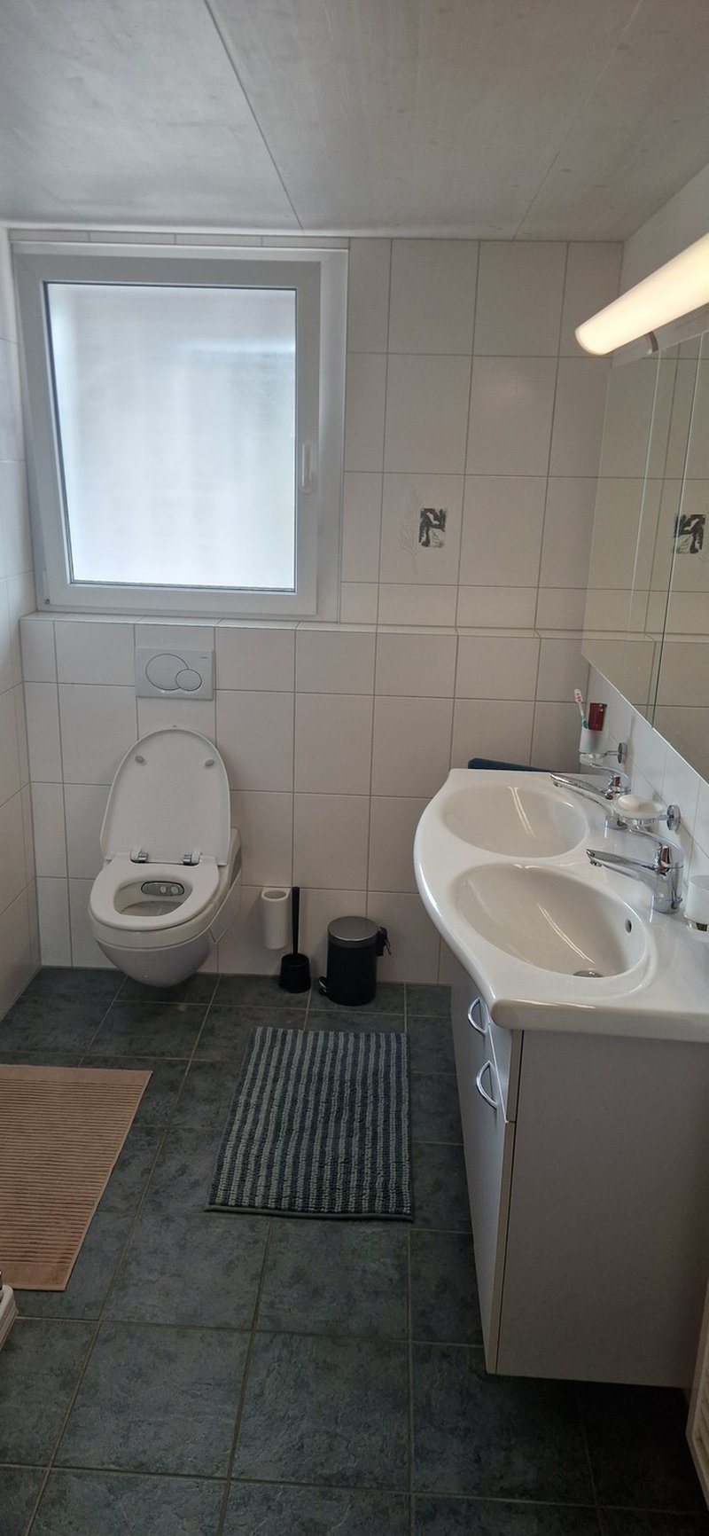 Foto 5 von Freienbach
