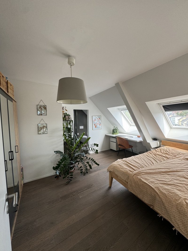 Foto 4 di zürich