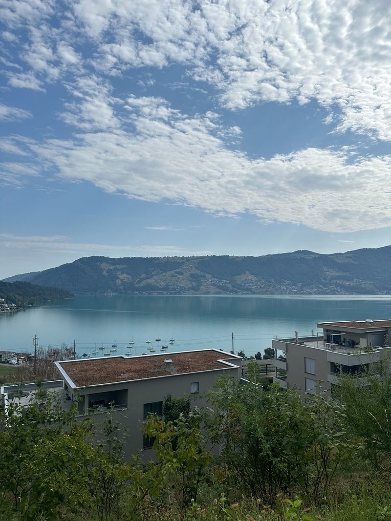 Foto 7 von Ribetschi 3, Immensee