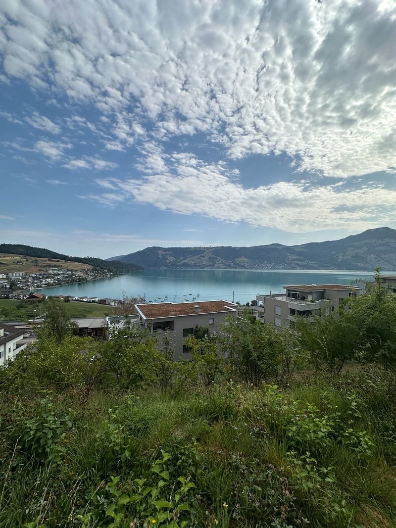 Foto 8 von Ribetschi 3, Immensee