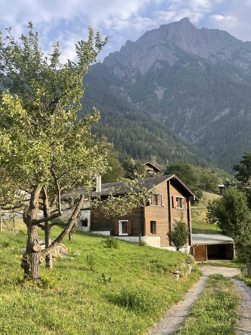 Foto 2 von Neue Simplonstrasse 80, Brig