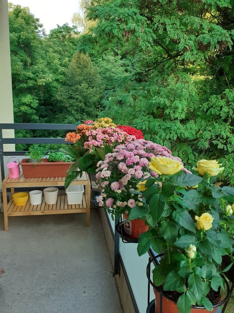 Foto 6 von Rue de la Blancherie 11, Chavannes-près-Renens